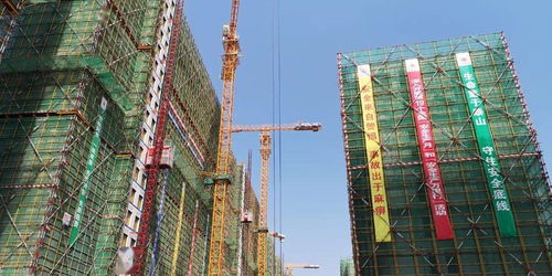 文明典范城市创建系列⑥ 聚焦场地设施经营，市住建局印发集中攻坚工作方案